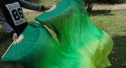 Wunderschöne Schleierfächer im grünen Farbverlauf nach gelbgrün