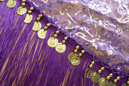 Bauchtanz Hüfttuch lila mit goldenen Linien und Münzen